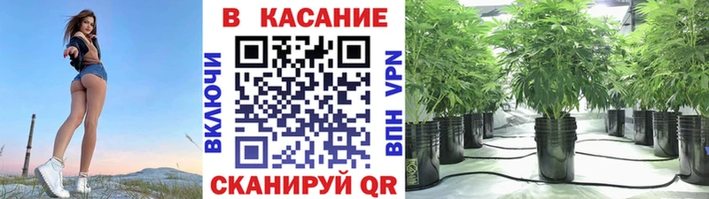 Продажа наркотиков Нестеров ГАШ A PVP Мефедрон Конопля