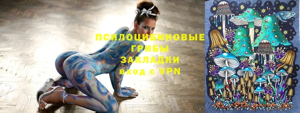 крисы Алзамай