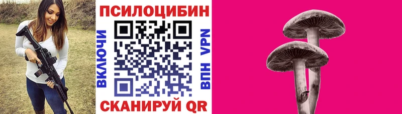 продажа наркотиков  Нестеров  Галлюциногенные грибы мухоморы 